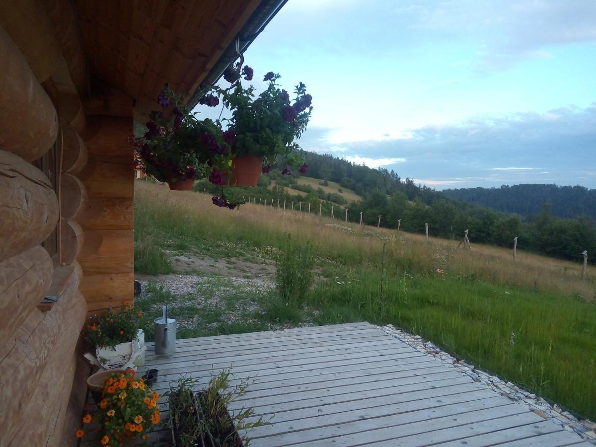 Domek w Górach Sowich Jugów Exterior foto